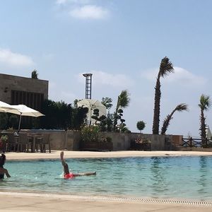 Meet your Posher, tima